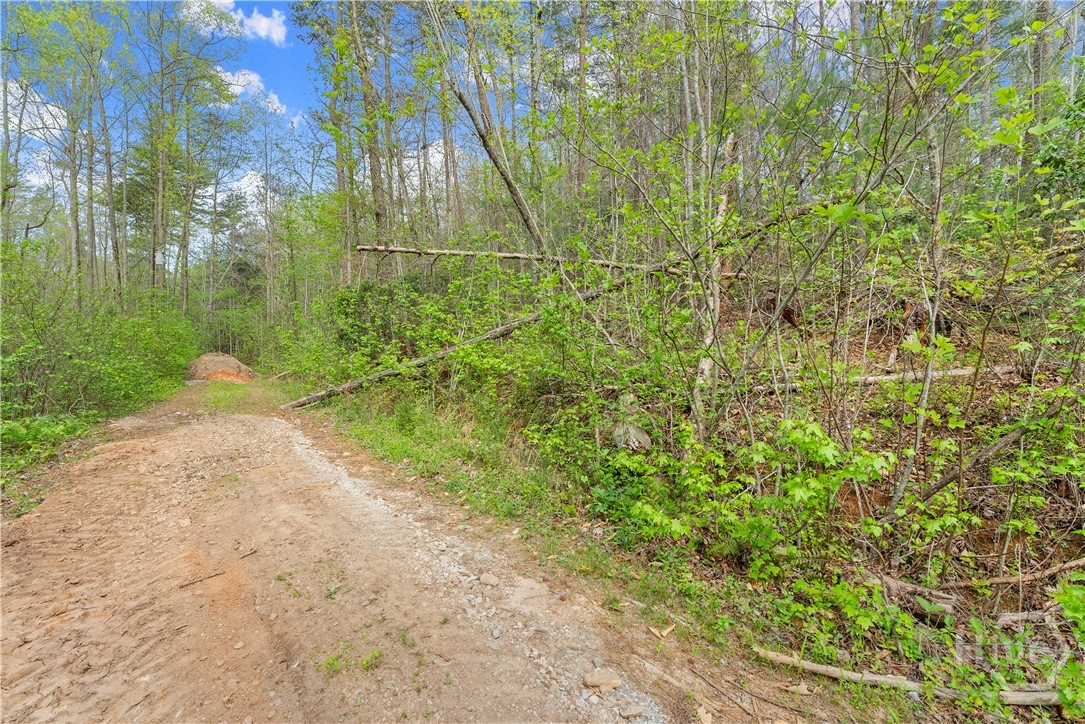 0 S Fern Cove Road Property Photo 23