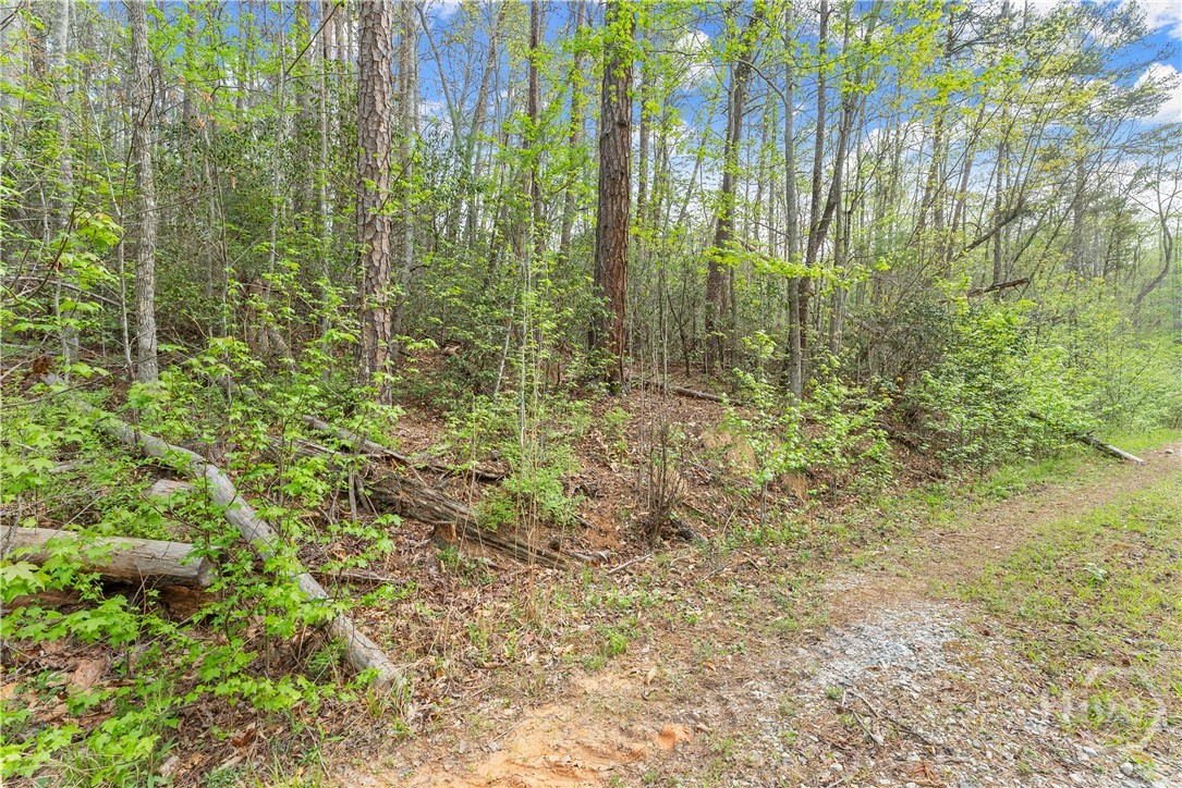 0 S Fern Cove Road Property Photo 24