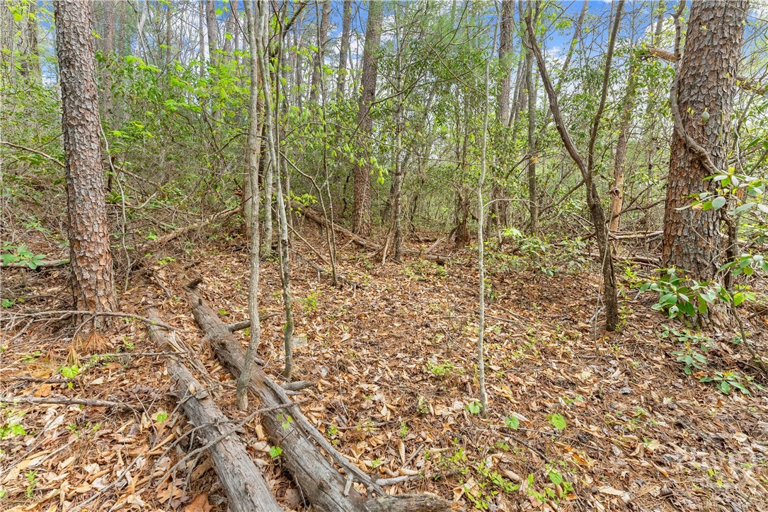 0 S Fern Cove Road Property Photo 25