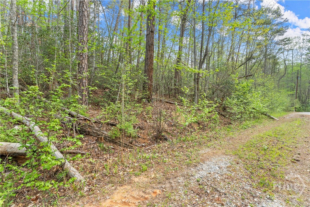 0 S Fern Cove Road Property Photo 26