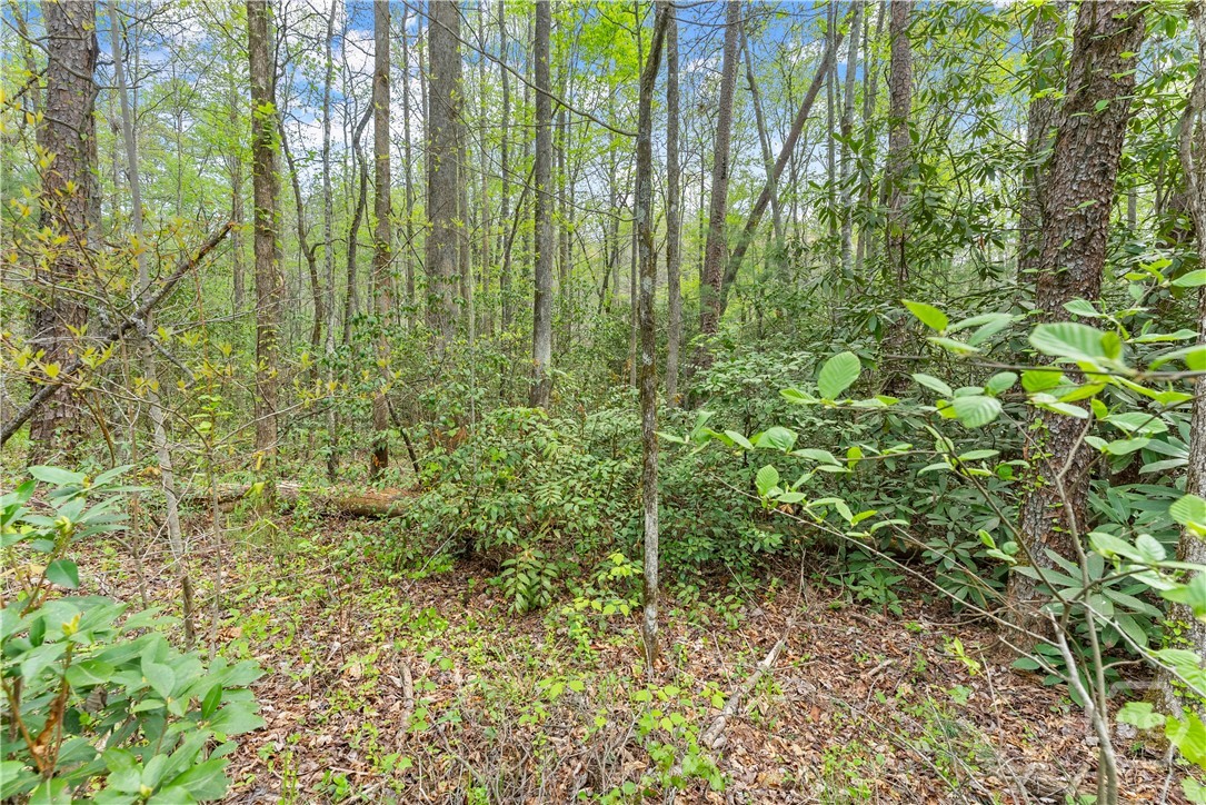 0 S Fern Cove Road Property Photo 29