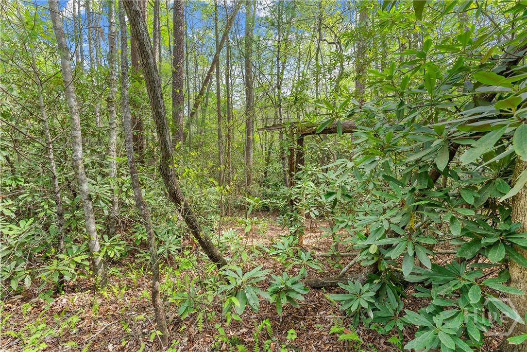 0 S Fern Cove Road Property Photo 31