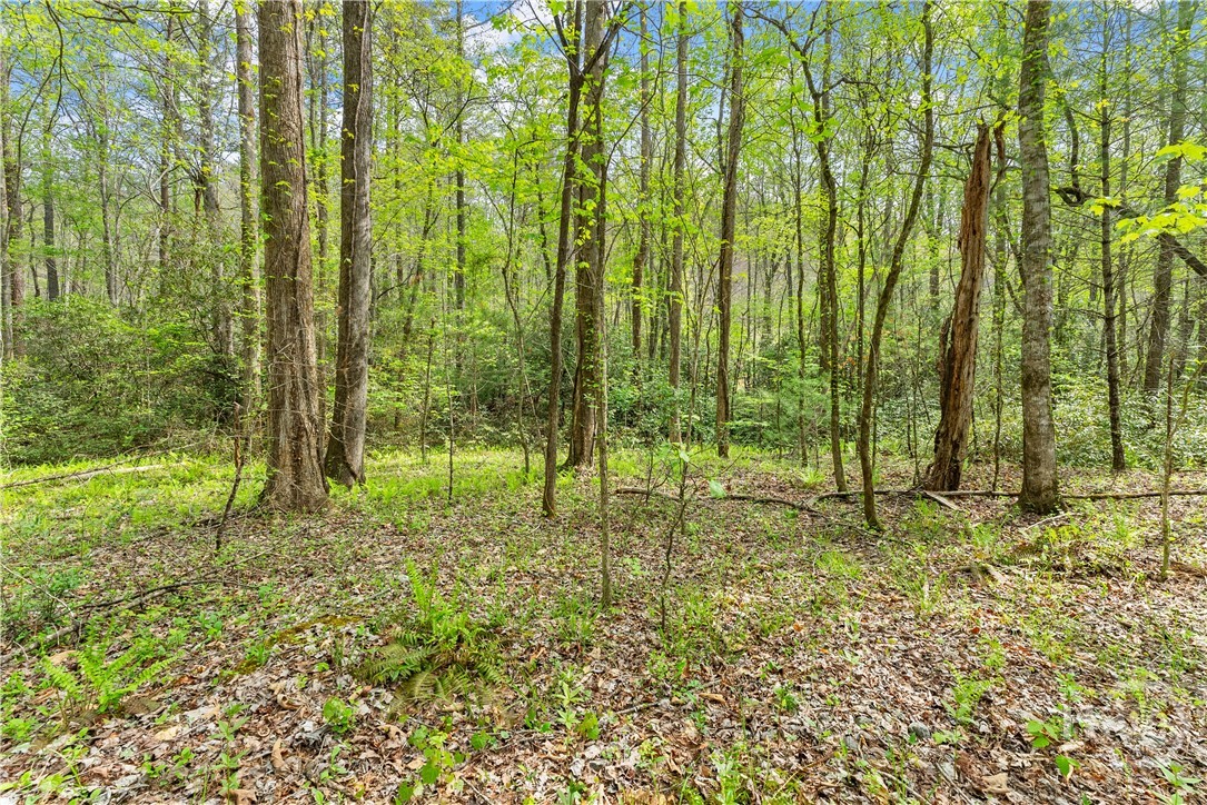 0 S Fern Cove Road Property Photo 32