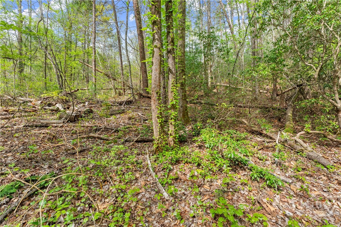 0 S Fern Cove Road Property Photo 33