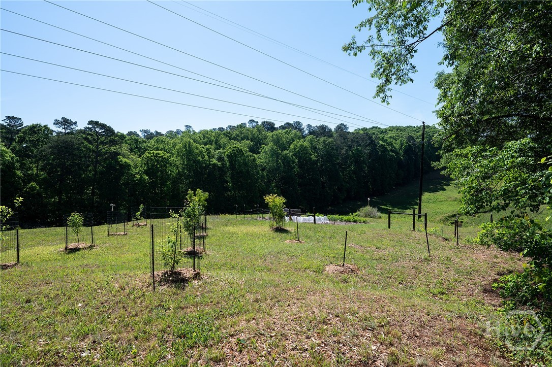 134 Hamway Lane Property Photo 57