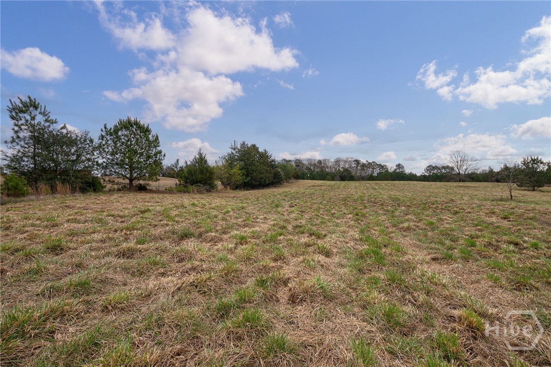 Tract 1-b High Shoals Road Property Photo 5