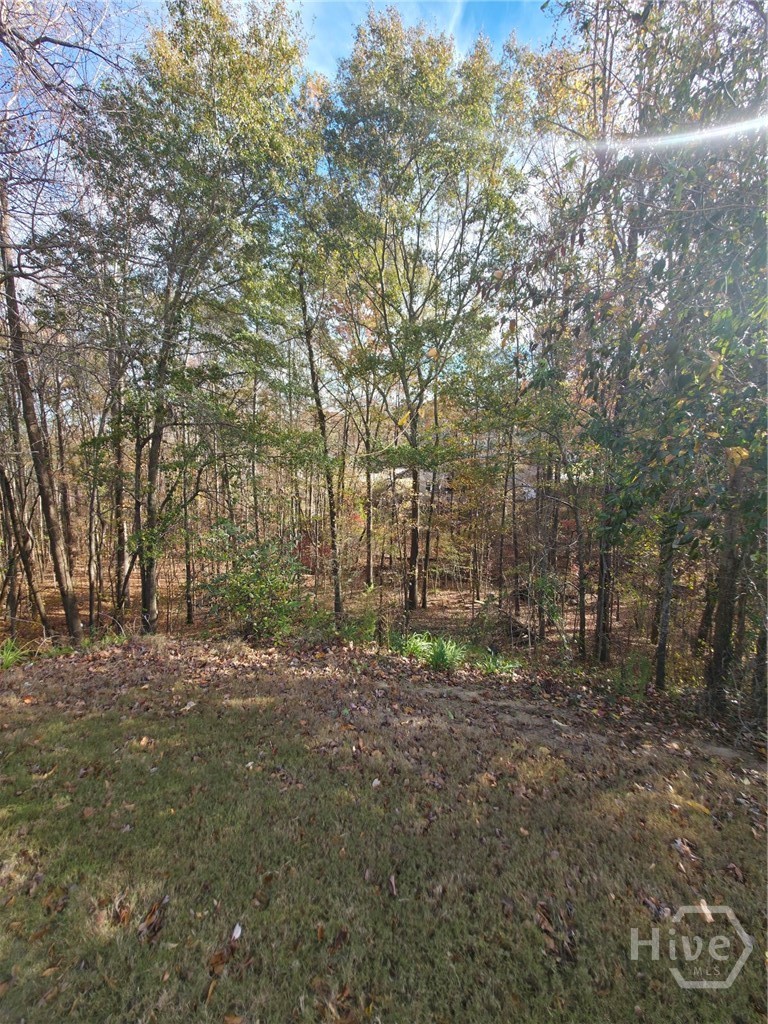 2412 Snowshoe Bn Property Photo 2