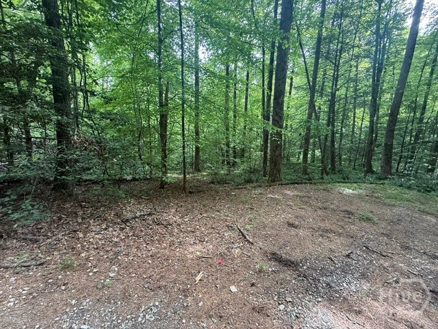 389 Fox Trot Tract B Property Photo 1