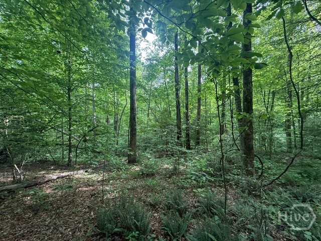 389 Fox Trot Tract B Property Photo 2