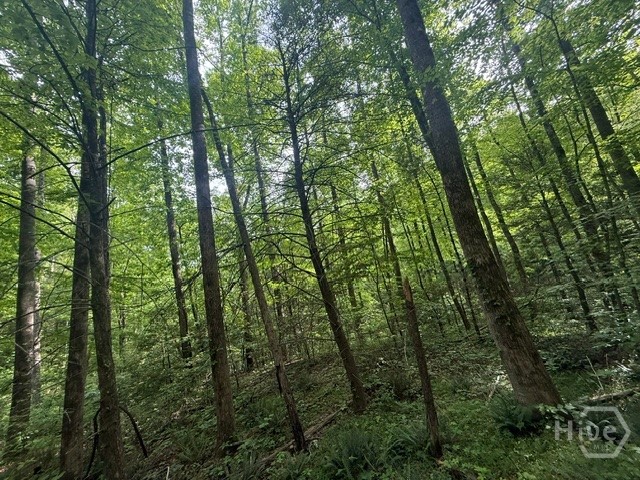 389 Fox Trot Tract B Property Photo 3