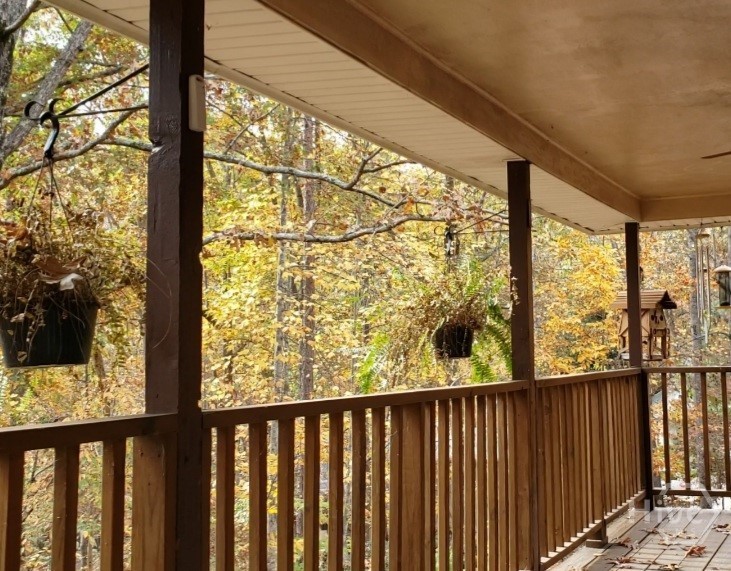 9330 Chestatee Court Property Photo 15