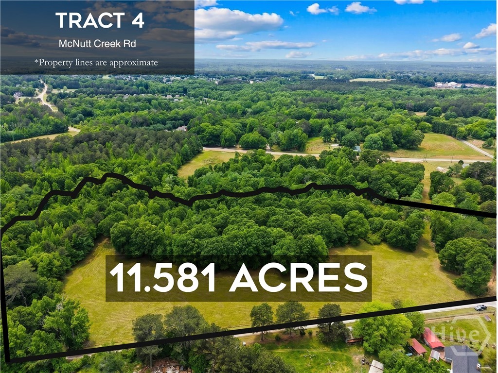 Tract 4 Mcnutts Creek Road Property Photo 1