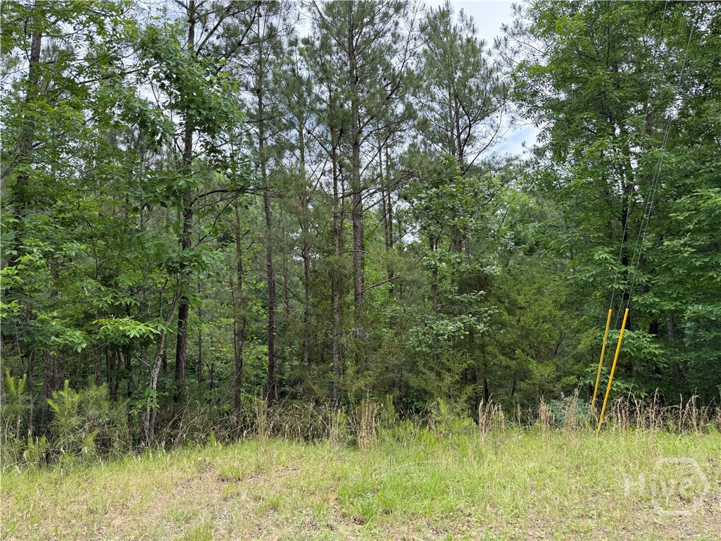 Lot 51 Bramlett Cr Property Photo 1