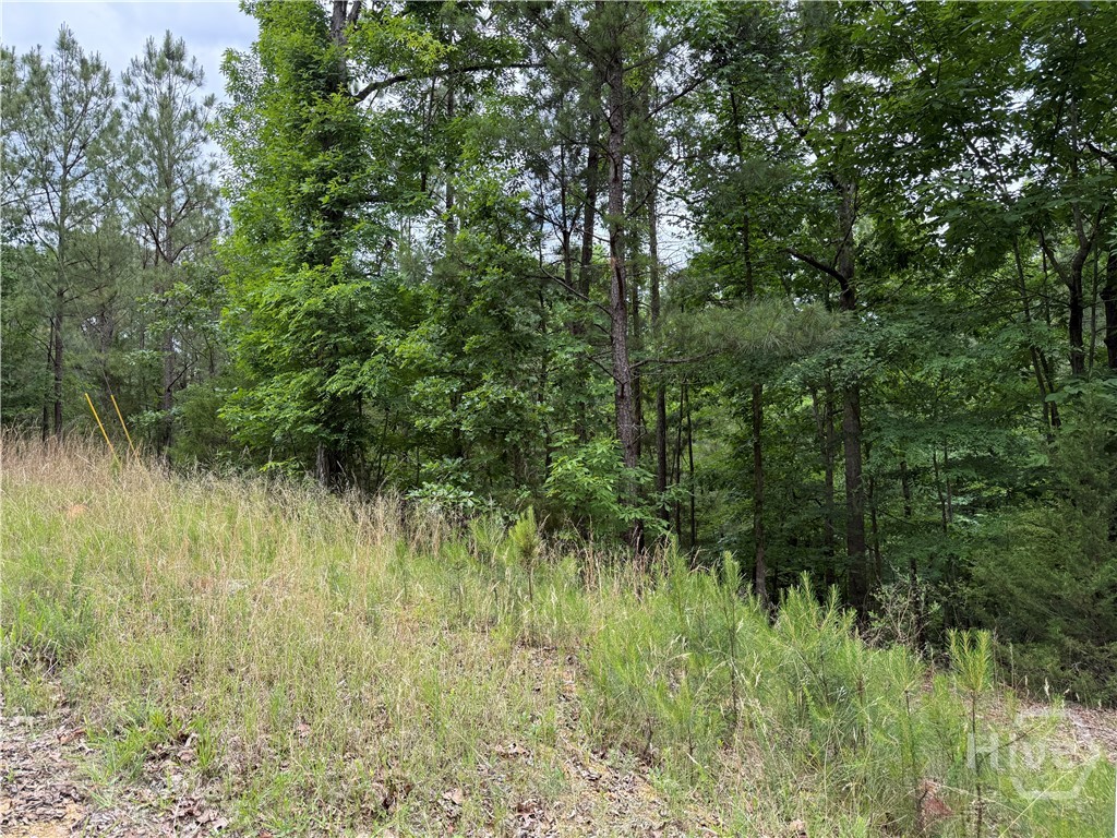 Lot 52 Bramlett Cr Property Photo 1