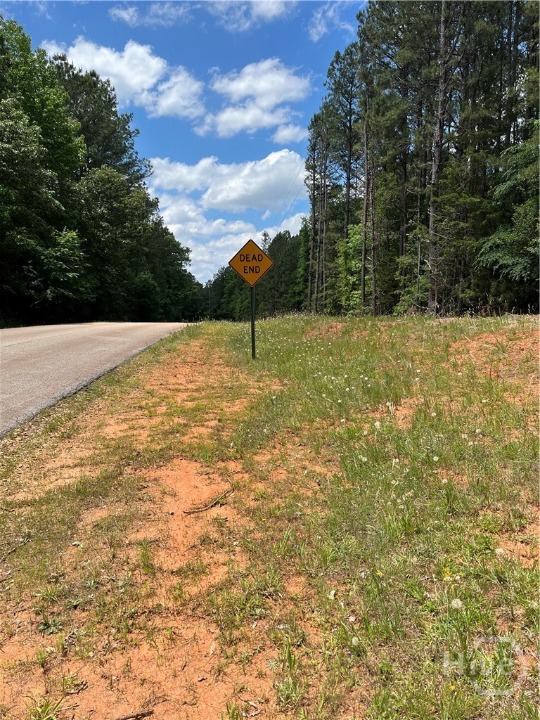 0 Stinchcomb Road Property Photo 3