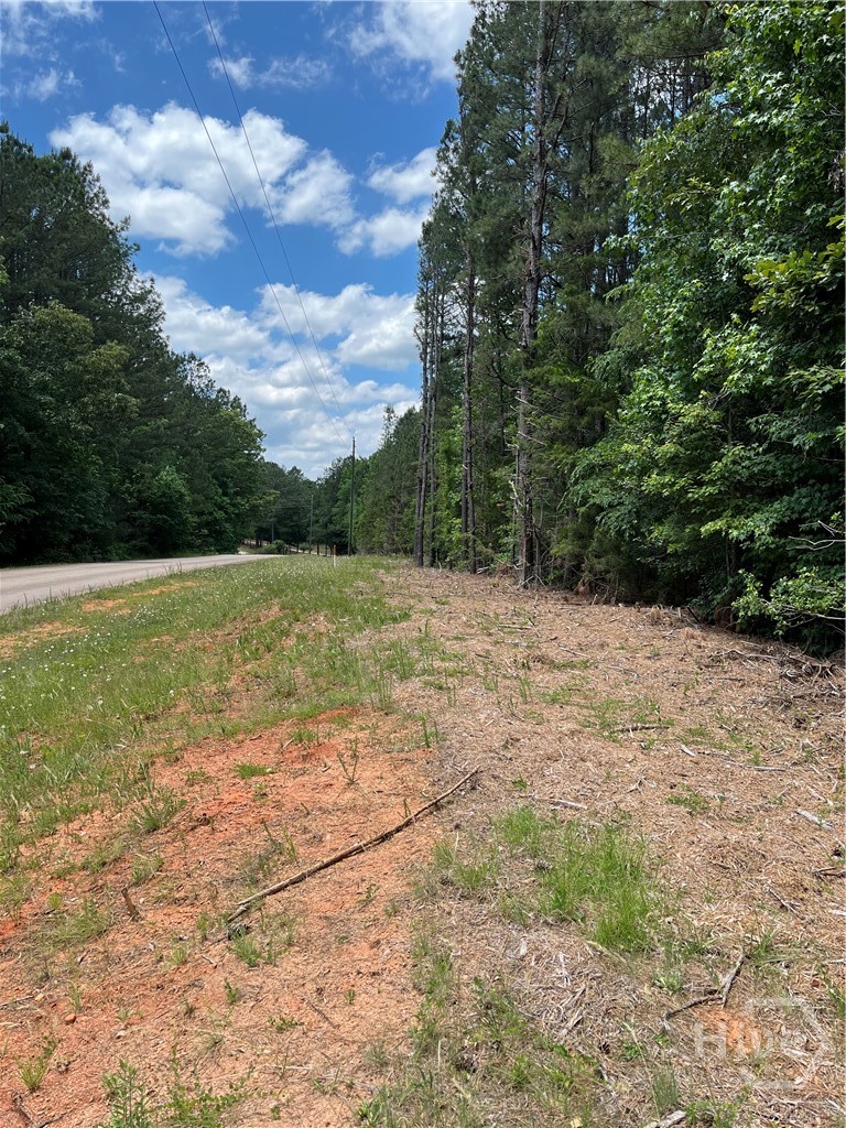 0 Stinchcomb Road Property Photo 4