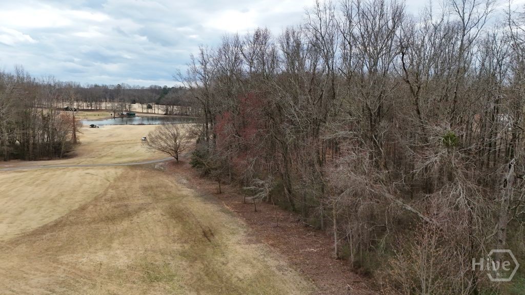 203 Adams Drive Property Photo 6