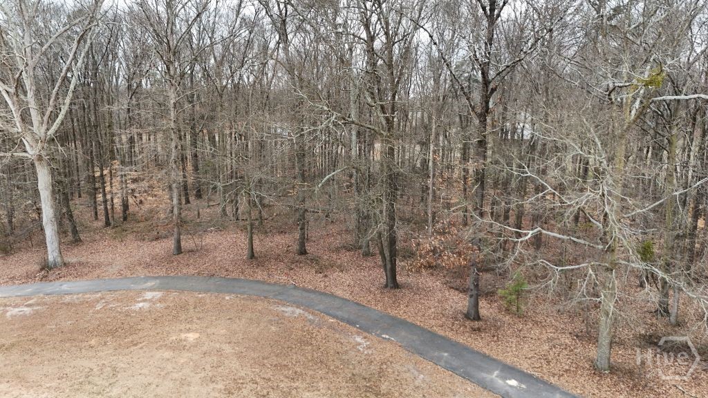 203 Adams Drive Property Photo 8