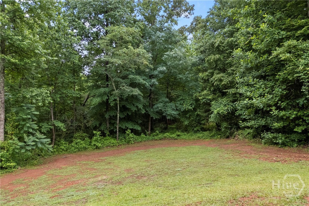 717 Oconee Lane Property Photo 52