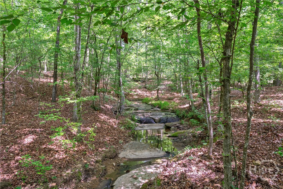 0 Gene Smith Road Property Photo 1