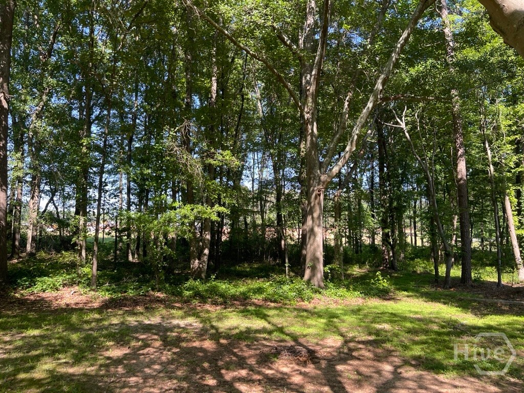 1071 Dials Mill Spur Spur Property Photo 3
