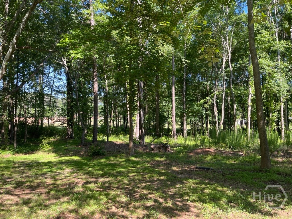 1071 Dials Mill Spur Spur Property Photo 10