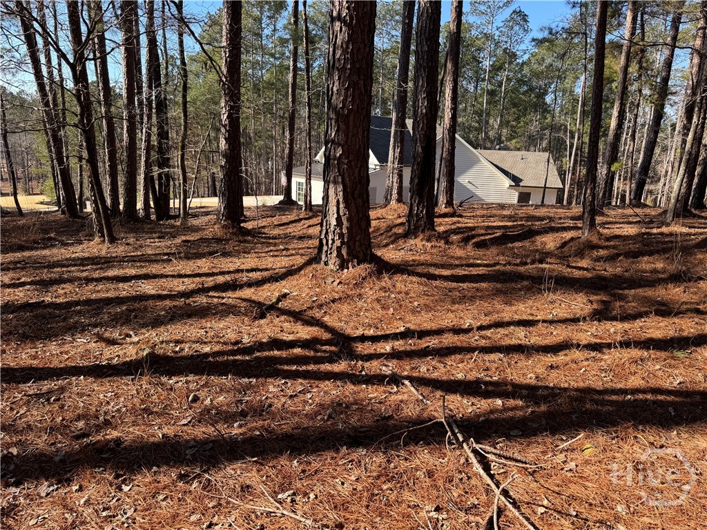 1060 Forrest Highlands Property Photo 4