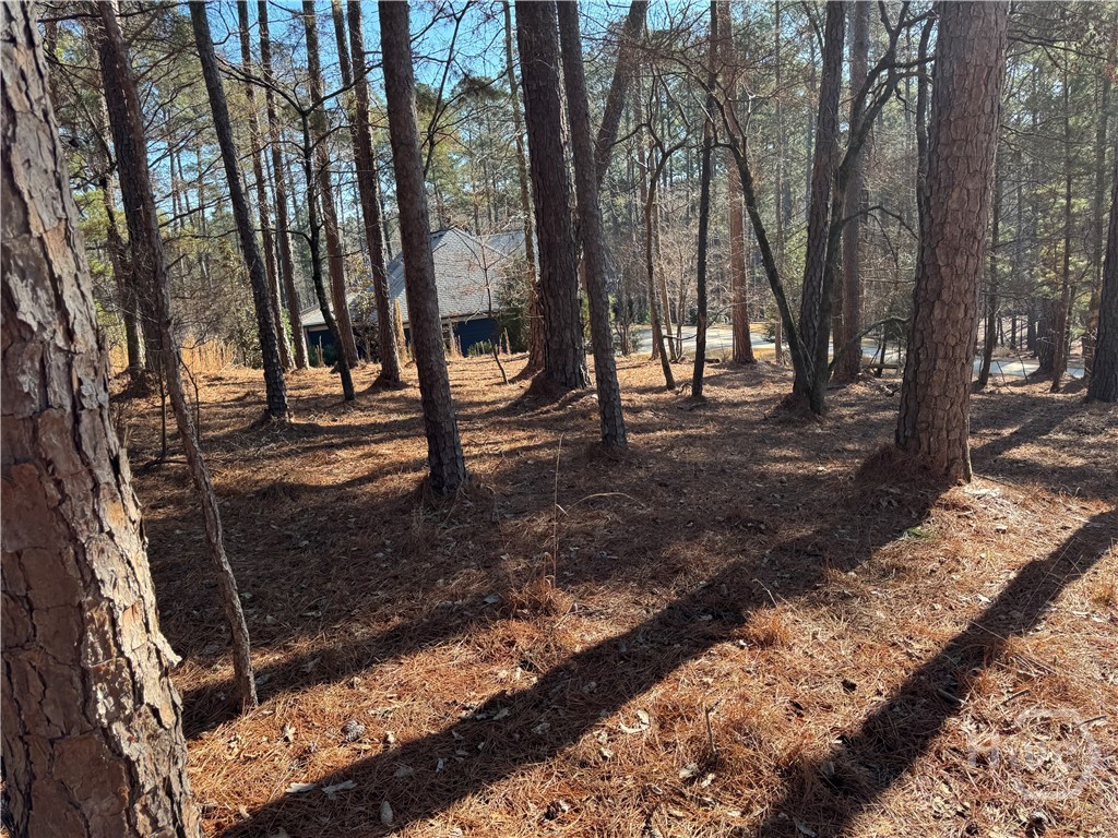 1060 Forrest Highlands Property Photo 5