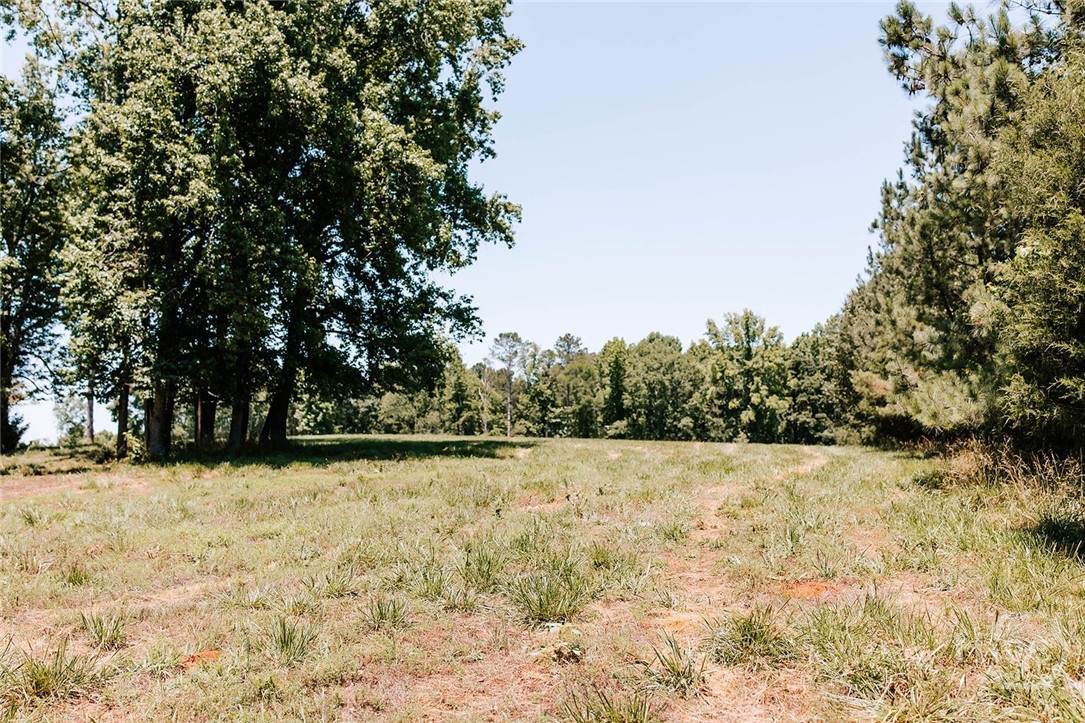 0 Mitchell Farm Road Property Photo 17