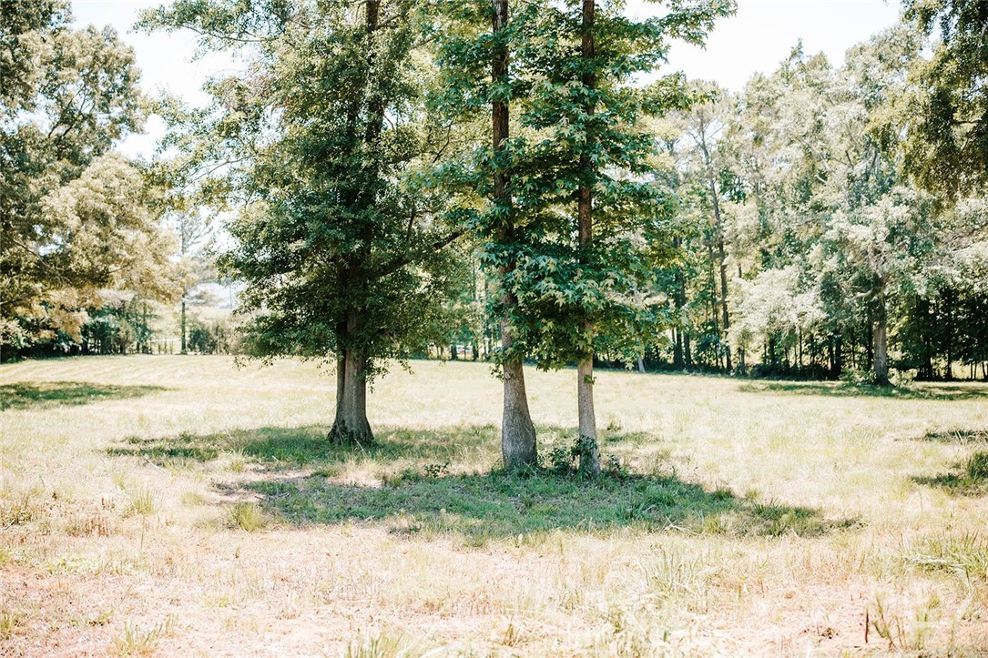 0 Mitchell Farm Road Property Photo 43