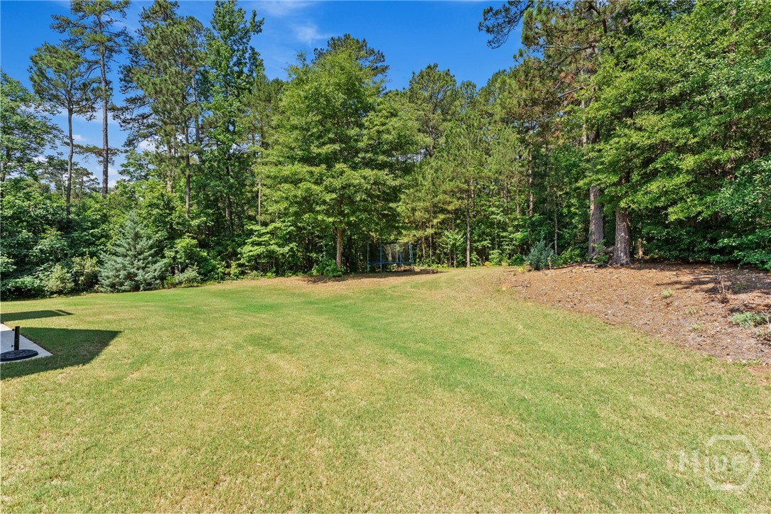 3142 Whitlow Creek Dr Property Photo 44