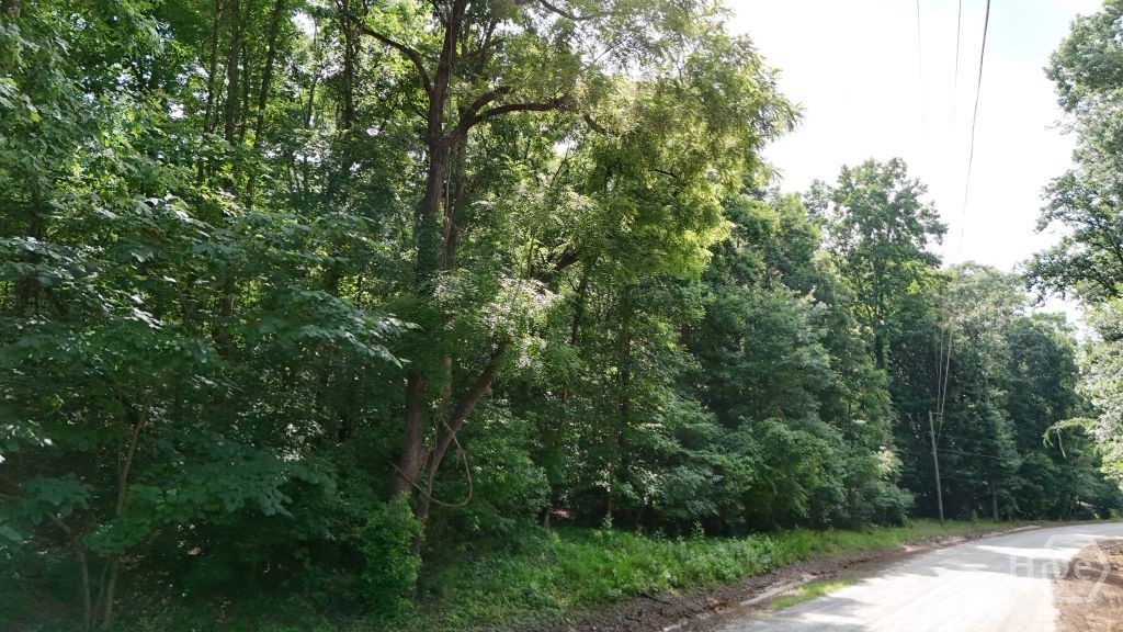 893 Hickory Hills Road Property Photo 3