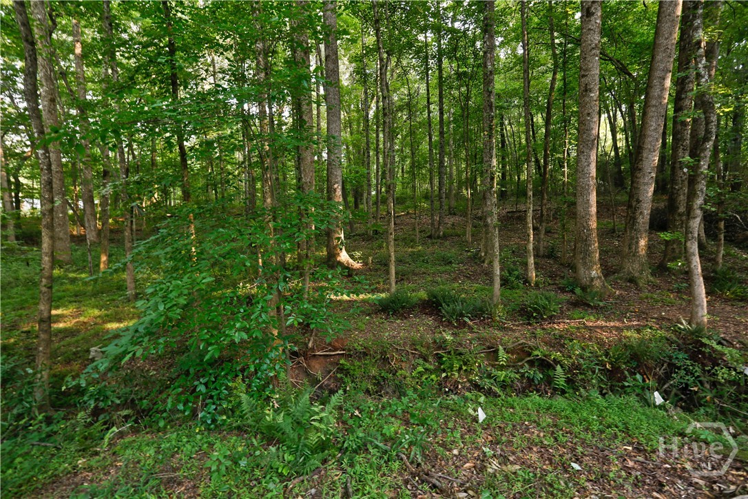 1251 Dials Plantation Property Photo 59