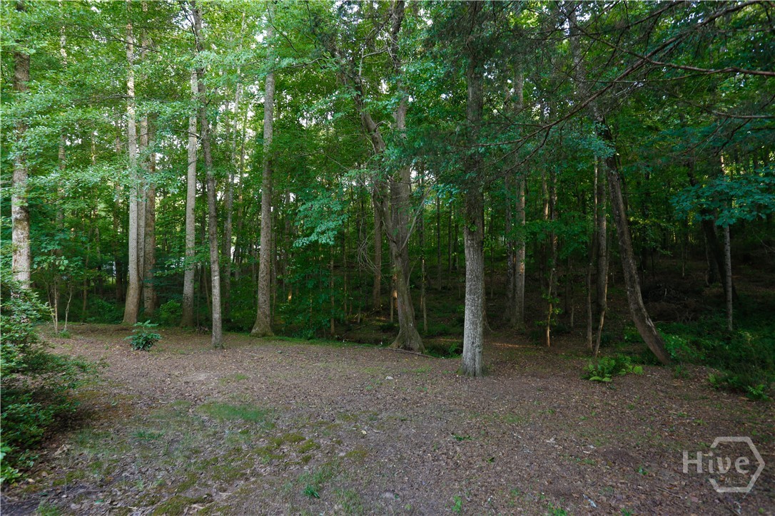 1251 Dials Plantation Property Photo 60