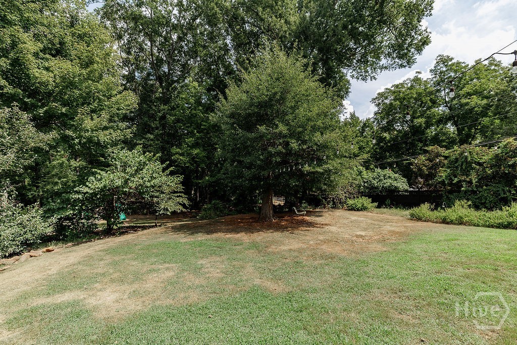 610 Holman Avenue Property Photo 60