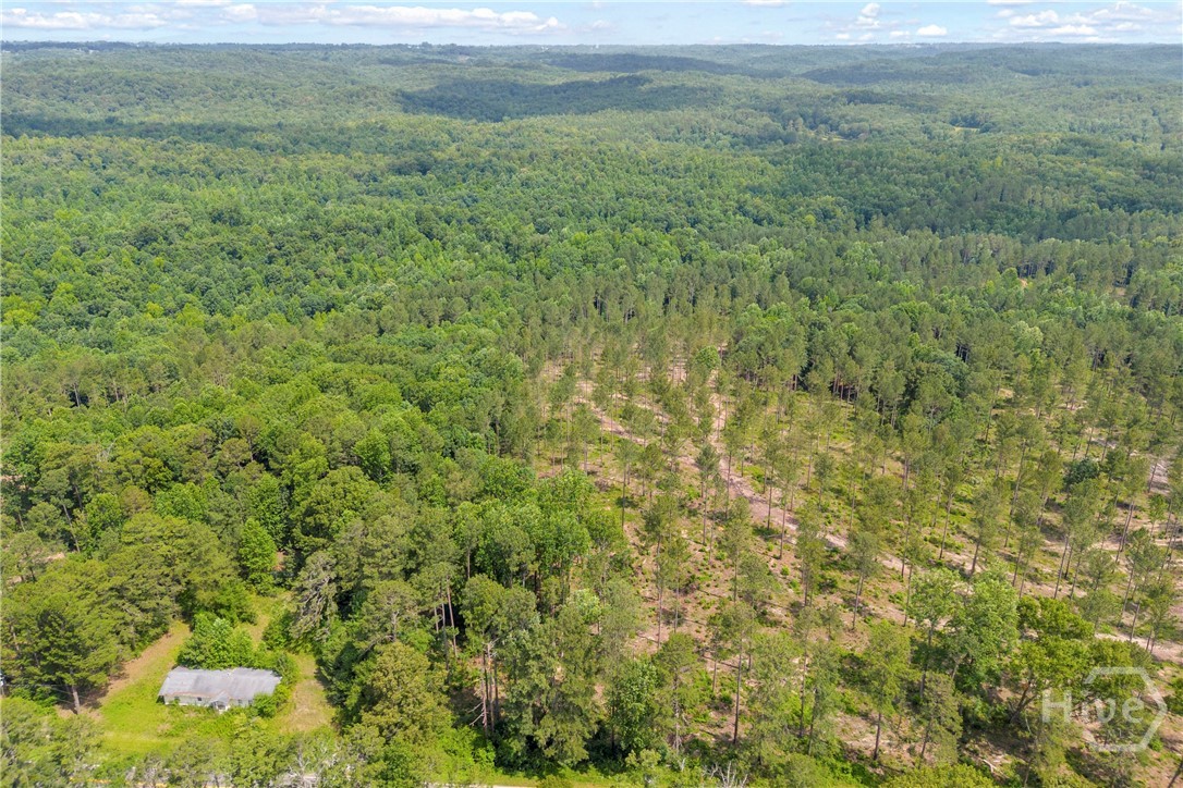 0 Mt. Sinai Lot 3 Property Photo 9