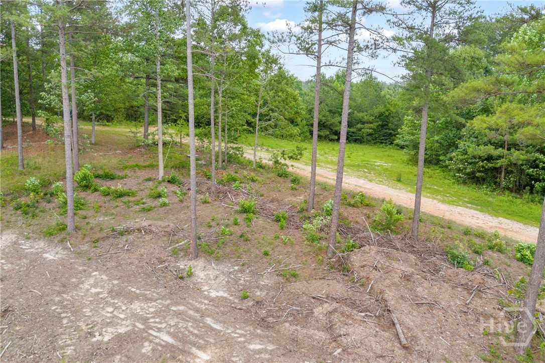 0 Mt. Sinai Lot 3 Property Photo 23