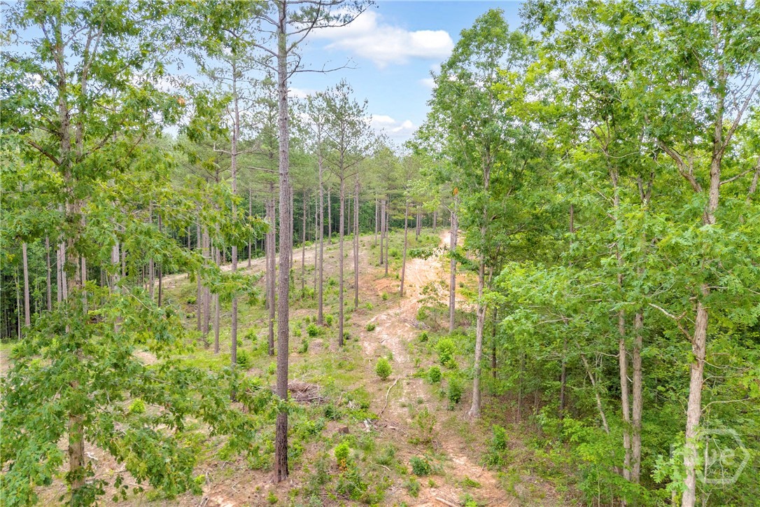0 Mt. Sinai Lot 3 Property Photo 28