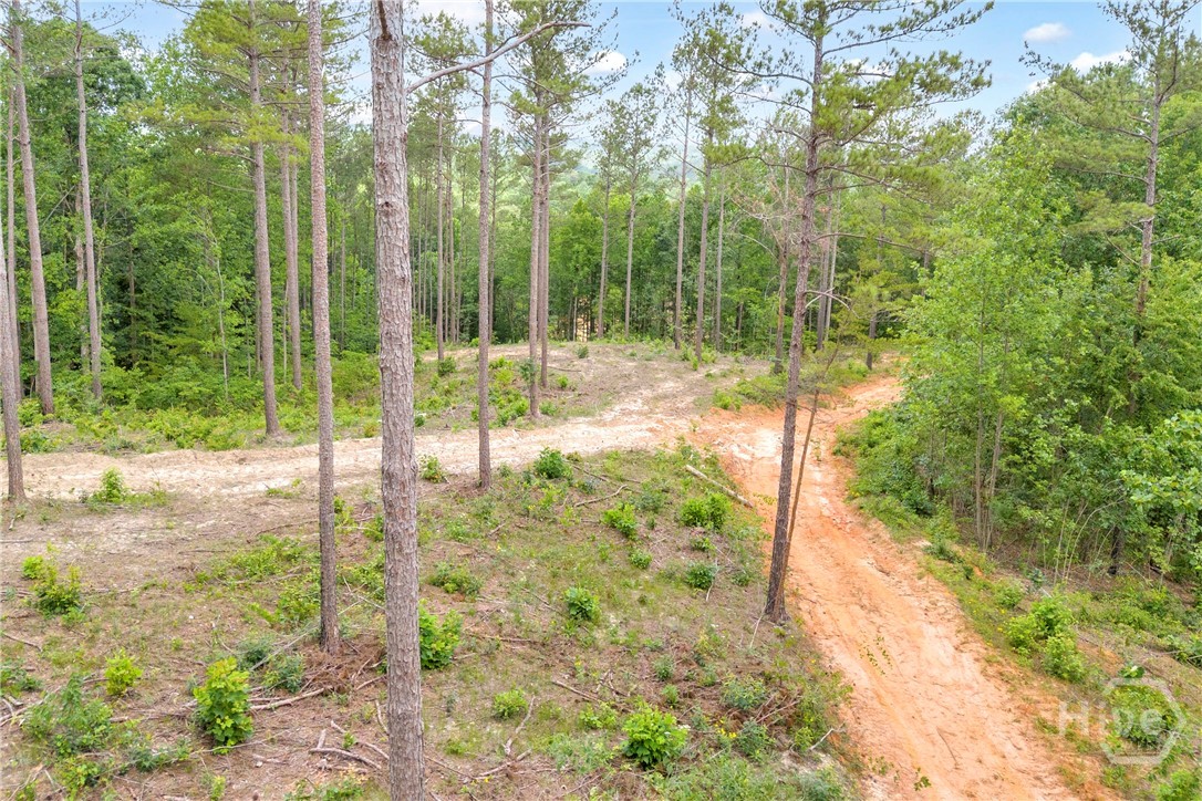 0 Mt. Sinai Lot 3 Property Photo 29
