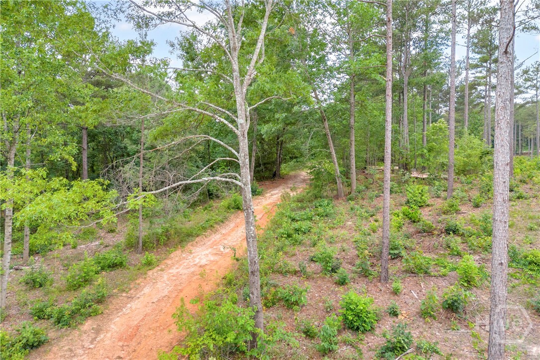0 Mt. Sinai Lot 3 Property Photo 31
