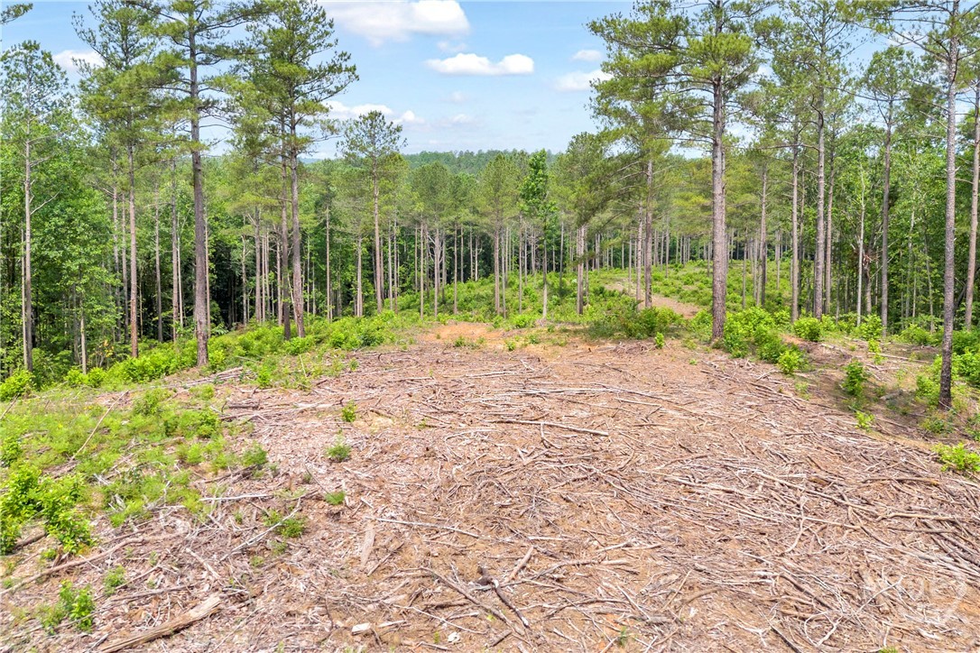 0 Mt. Sinai Lot 3 Property Photo 33