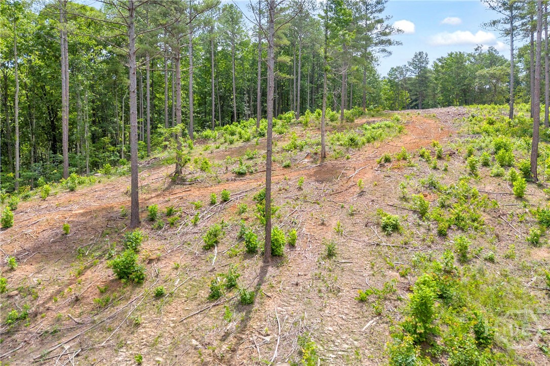 0 Mt. Sinai Lot 3 Property Photo 36