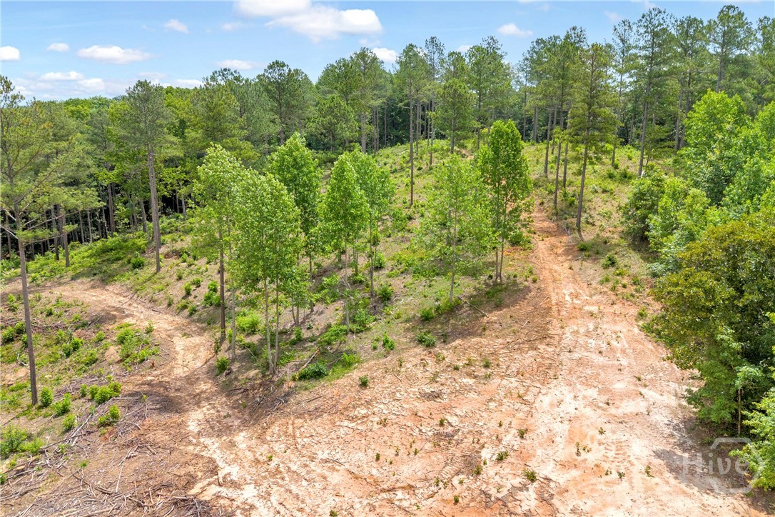 0 Mt. Sinai Lot 3 Property Photo 37
