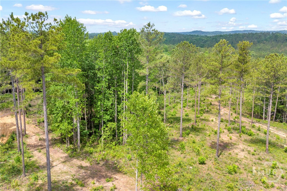 0 Mt. Sinai Lot 3 Property Photo 39