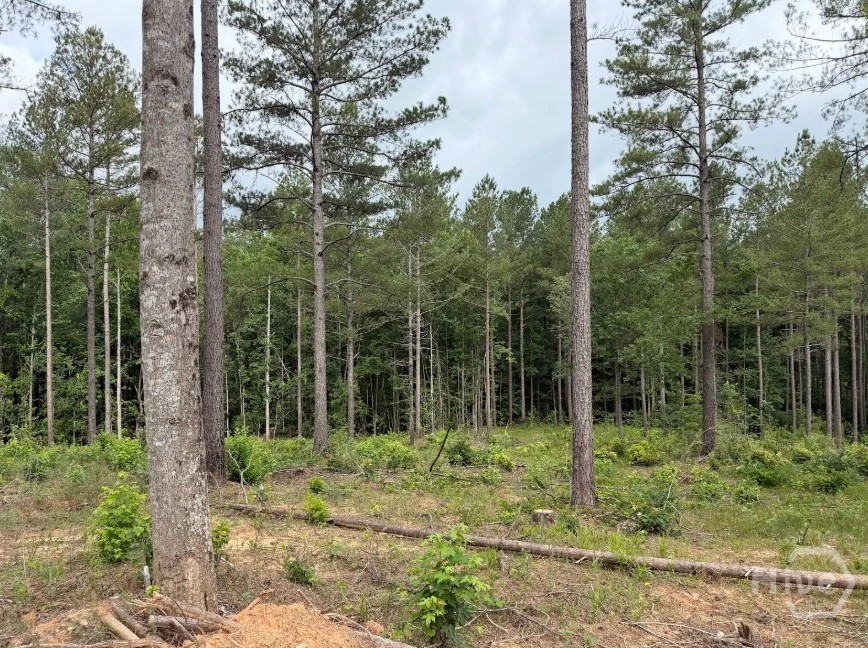 0 Mt. Sinai Lot 3 Property Photo 57