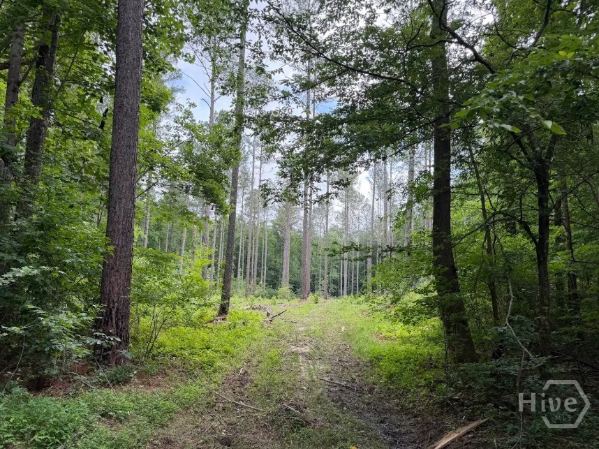 0 Mt. Sinai Lot 3 Property Photo 59