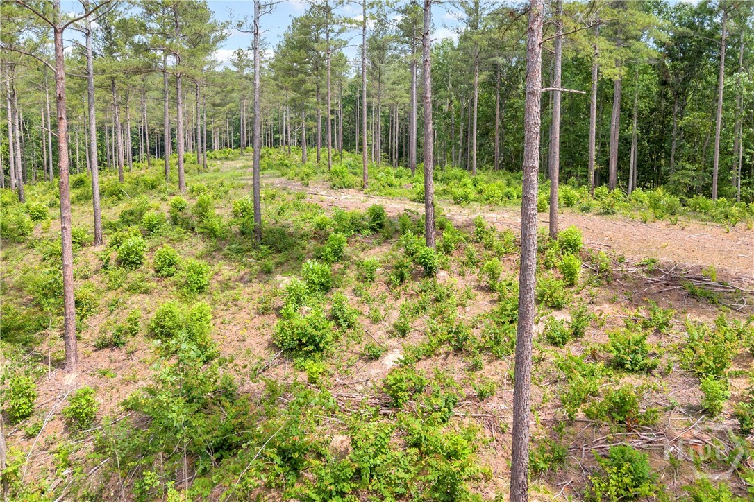 0 Mt. Sinai Lot 4 Property Photo 35