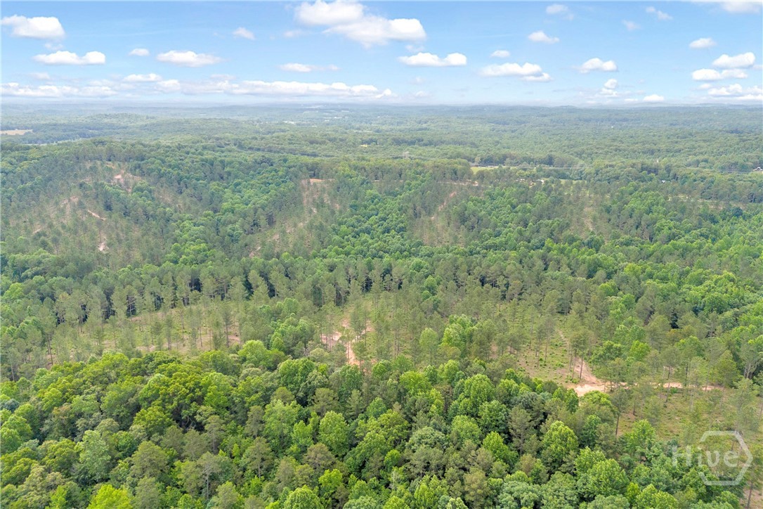 0 Mt. Sinai Lot 4 Property Photo 41