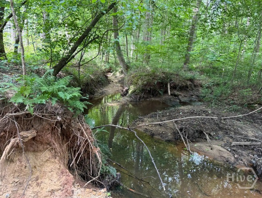 0 Mt. Sinai Lot 4 Property Photo 63