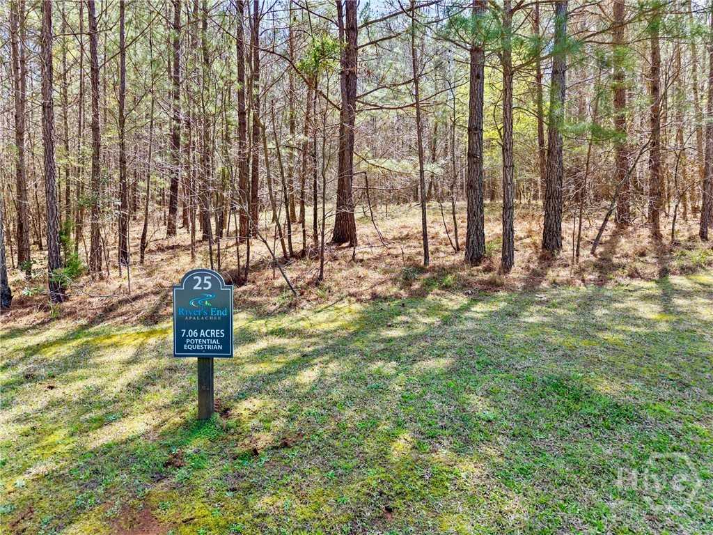 1061 Apalachee Meadows Drive 25 Property Photo 2